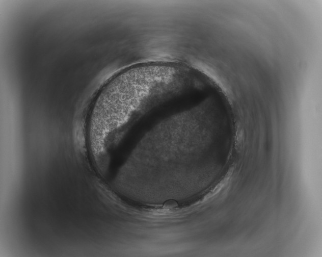 X0000101701455200807311422