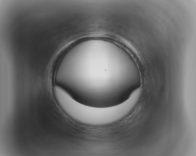 X0000101701456200807311422