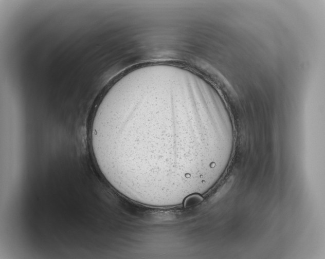 X0000101701457200807311422