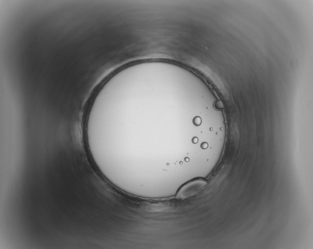 X0000101701460200807311422