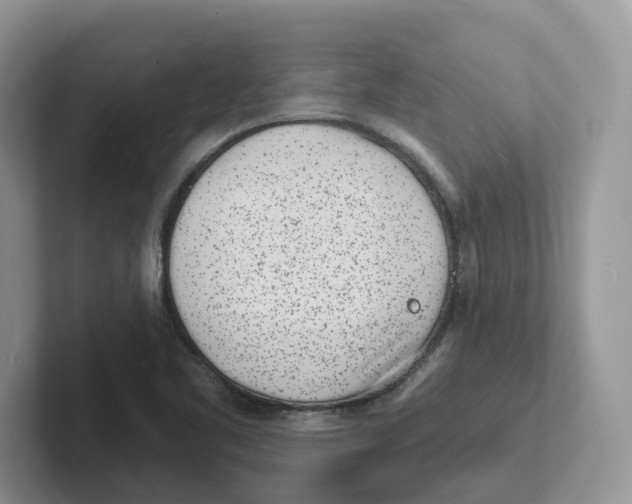 X0000101701461200807311422