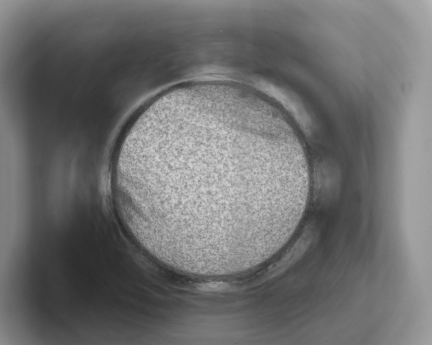 X0000101701462200807311422