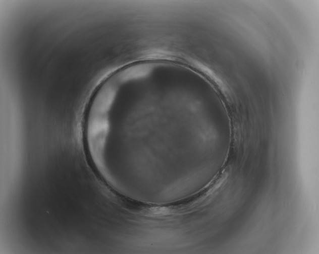 X0000101701463200807311422