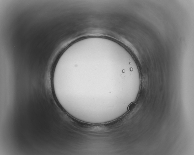 X0000101701464200807311422