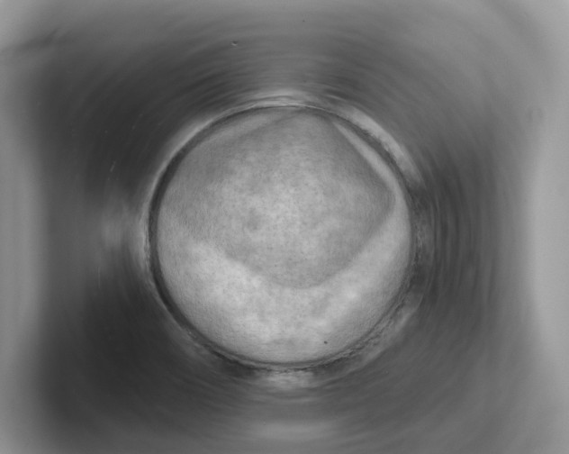 X0000101701466200807311422