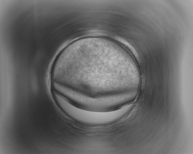 X0000101701467200807311422