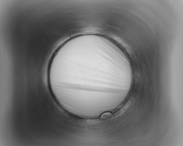 X0000101701469200807311422