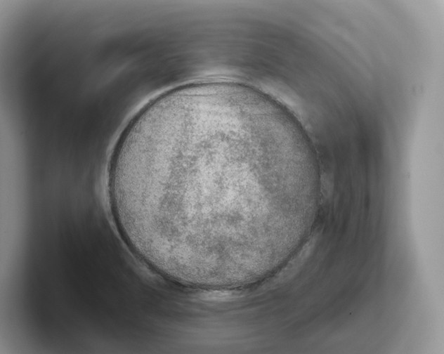 X0000101701470200807311422