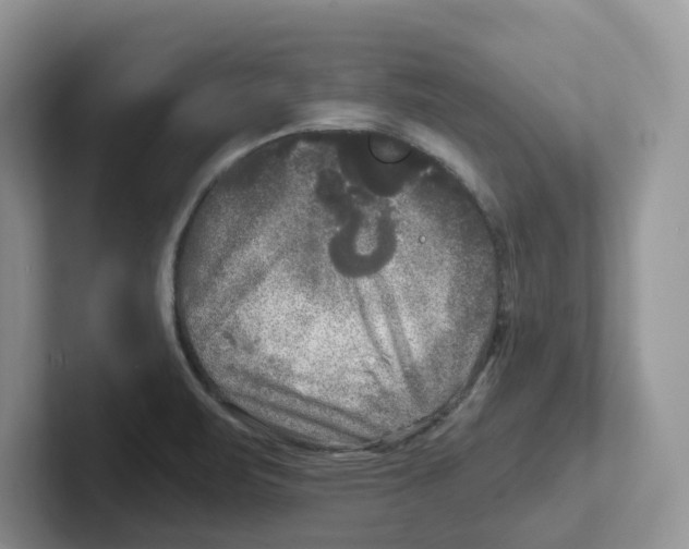 X0000101701471200807311422