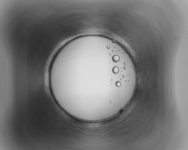 X0000101701472200807311422