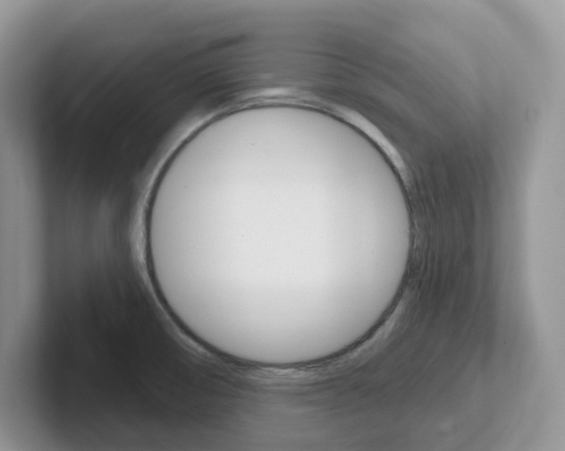 X0000101701474200807311422