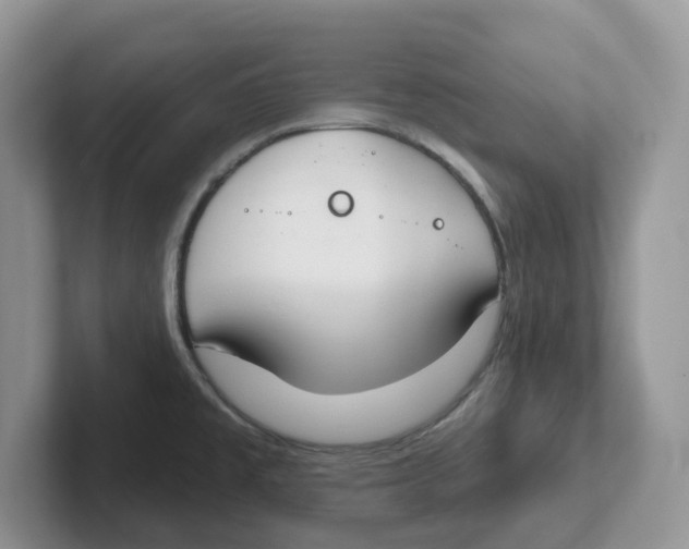 X0000101701477200807311422