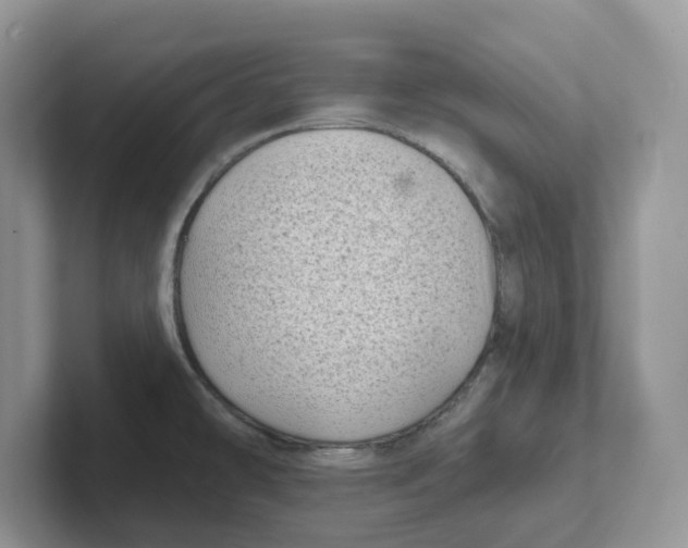 X0000101701478200807311422