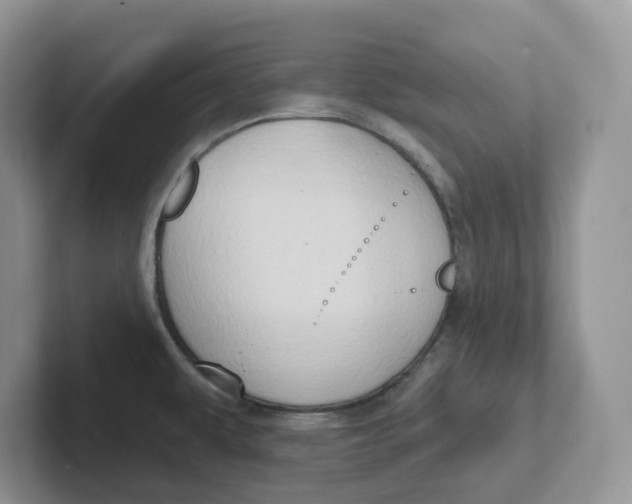 X0000101701479200807311422