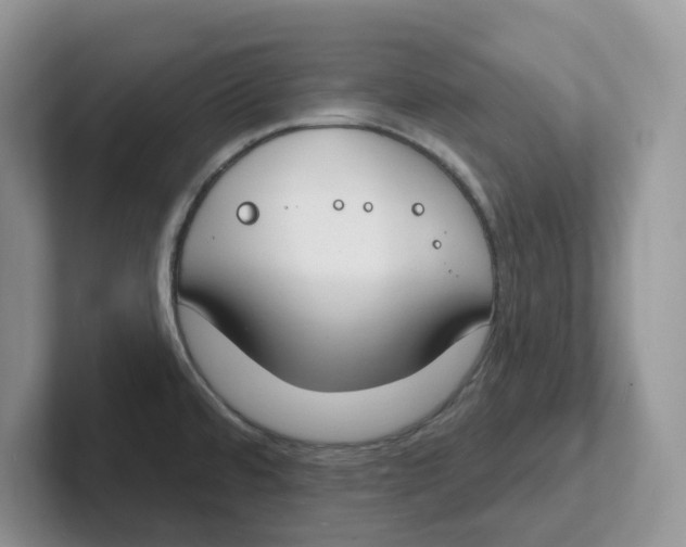 X0000101701480200807311422