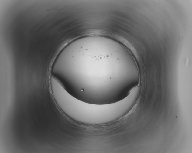 X0000101701481200807311422