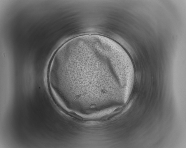 X0000101701482200807311422