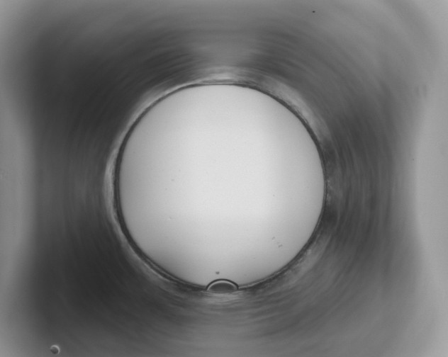 X0000101701483200807311422