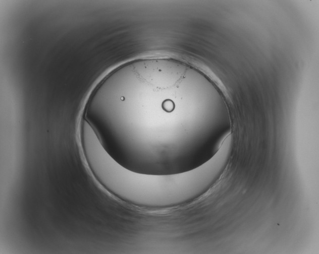 X0000101701484200807311422