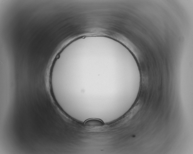 X0000101701485200807311422