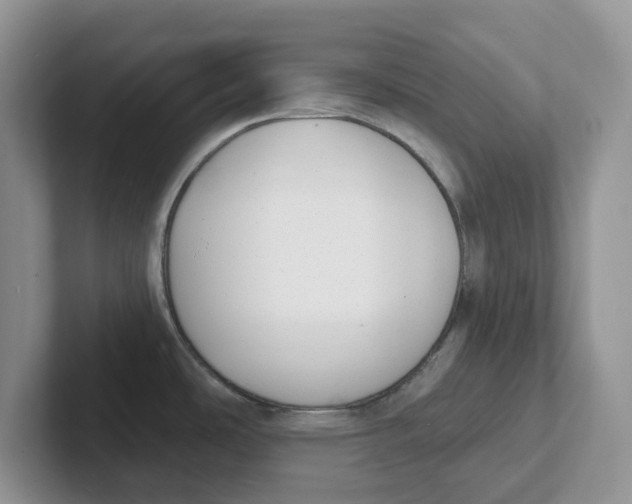 X0000101701486200807311422