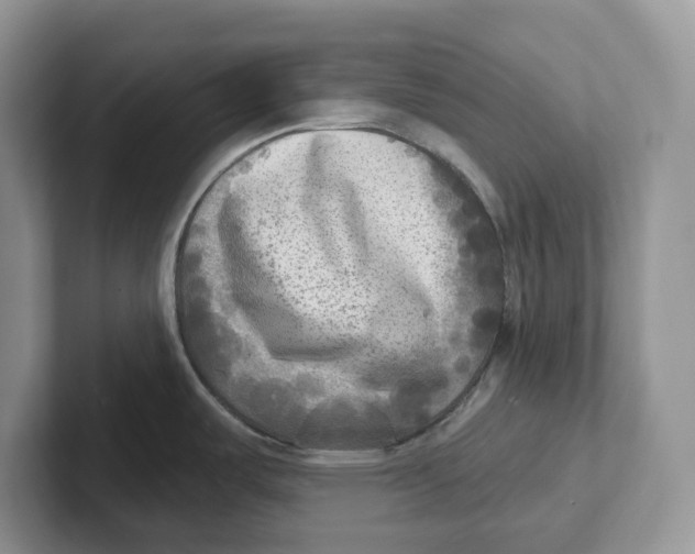 X0000101701487200807311422