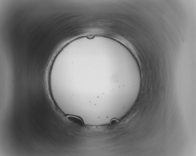 X0000101701488200807311422