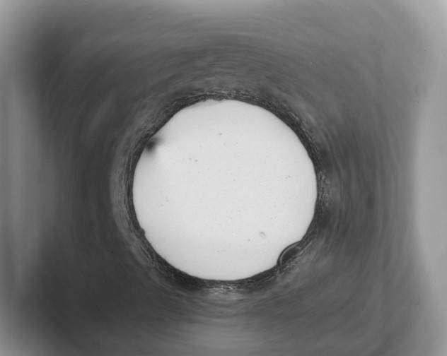 X0000101701489200807311421