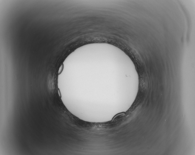 X0000101701490200807311421