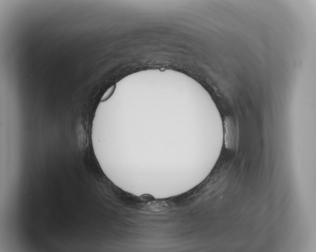 X0000101701491200807311421