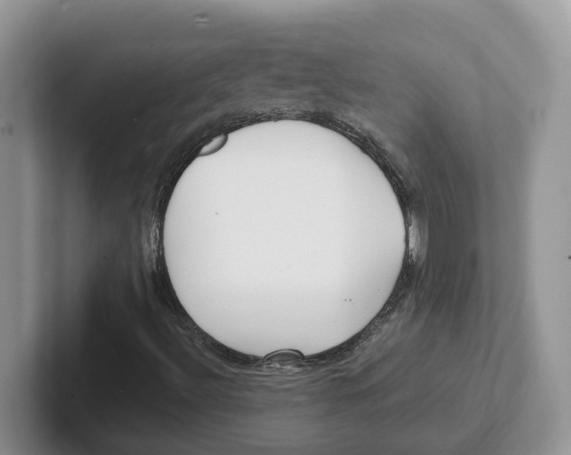 X0000101701492200807311421