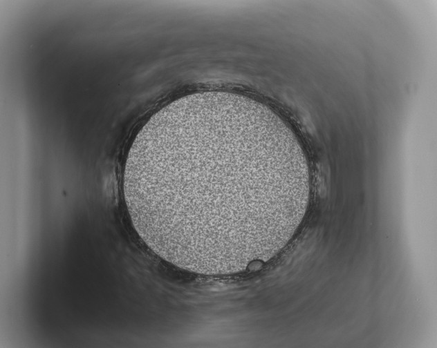 X0000101701493200807311421