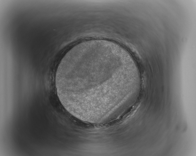 X0000101701494200807311421