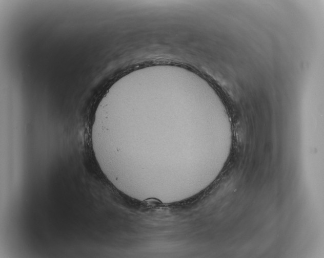 X0000101701495200807311421