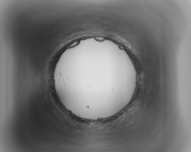 X0000101701496200807311421