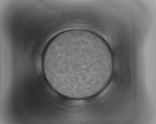 X0000101701498200807311421