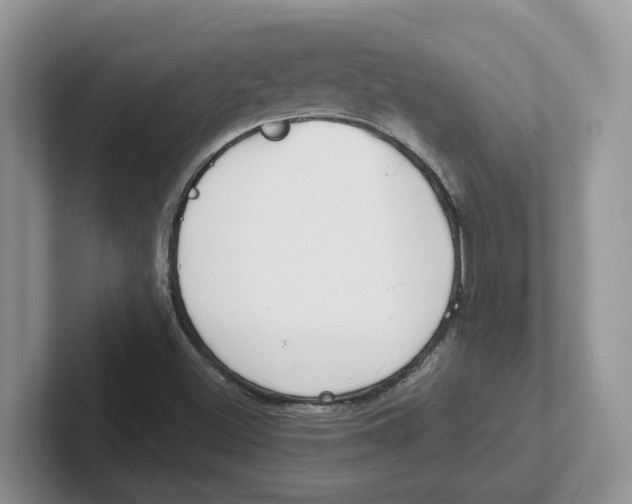 X0000101701500200807311421