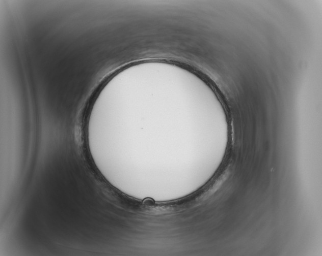 X0000101701501200807311421