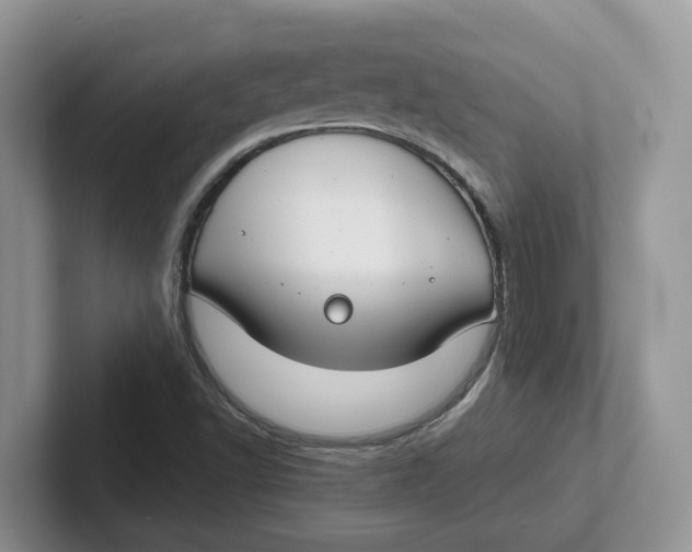 X0000101701502200807311421