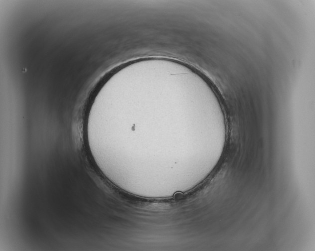 X0000101701503200807311421