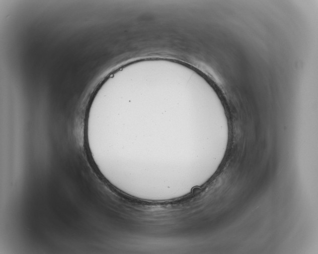 X0000101701504200807311421