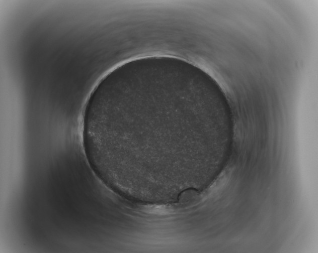 X0000101701508200807311421