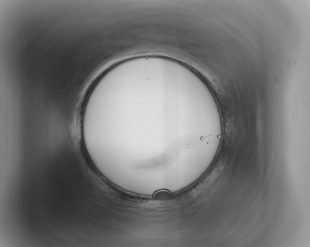 X0000101701510200807311421