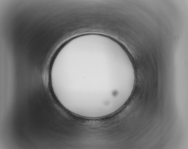 X0000101701511200807311421