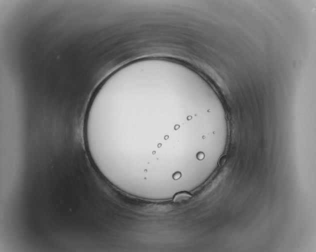 X0000101701513200807311421