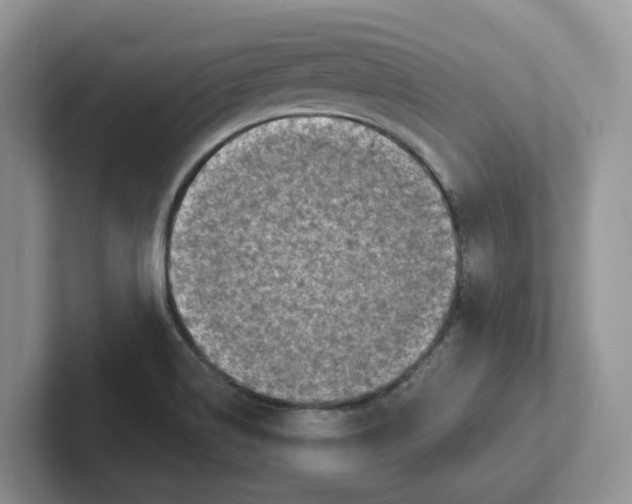 X0000101701514200807311421