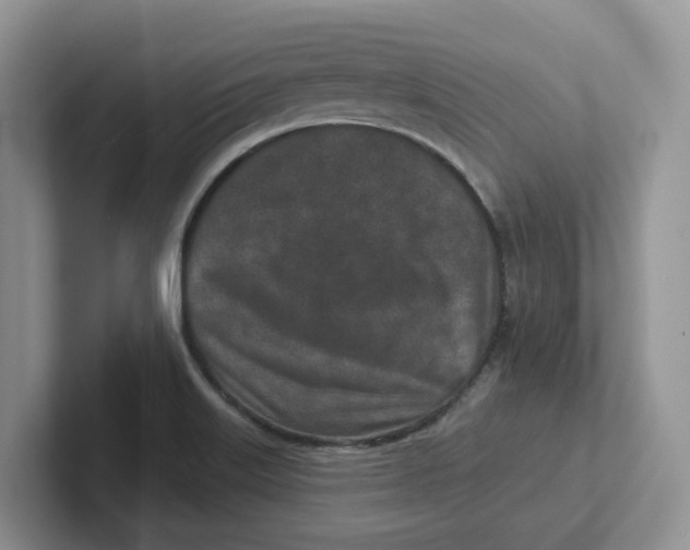 X0000101701515200807311421