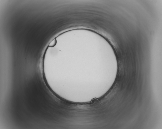 X0000101701516200807311421