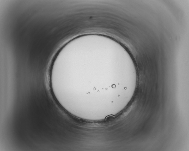 X0000101701517200807311421