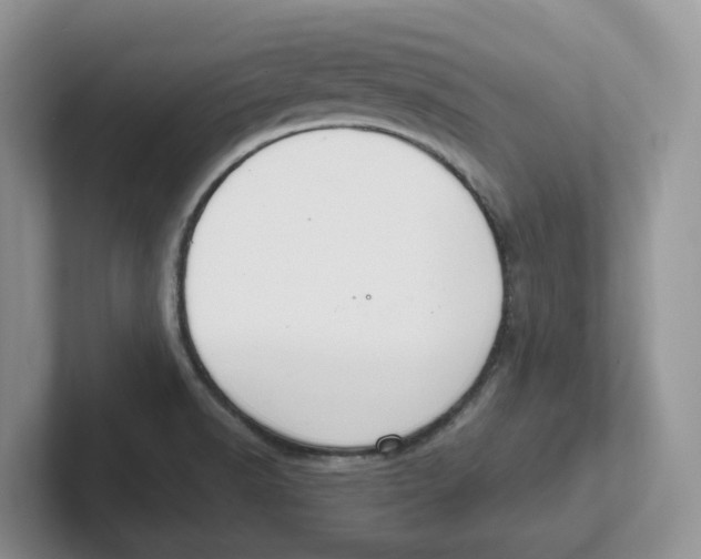 X0000101701518200807311421